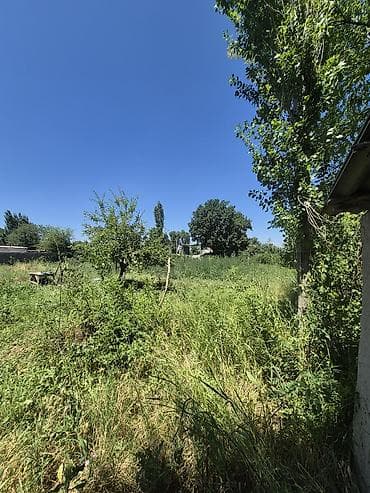 торг: Продаётся жилой дом с большим участком.село Полтавка,есть торг — 2