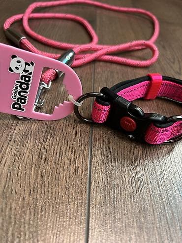 шиншил: Ошейник с поводком фирменный Panda для собак. Качество отличное — 5