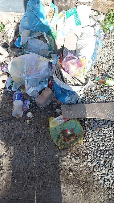 разведение рыб: Продаю | Крольчата | Фландр | Для разведения — 8