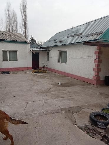 Ашкана буюмдары: Дом с двором и капитальным забором из профлиста - Отдельно стоящий — 3