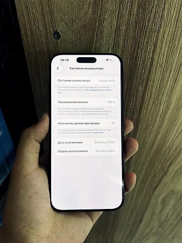 iphone s5: IPhone 17 Pro Max, Б/у, 256 ГБ, Синий, 100 % — 3
