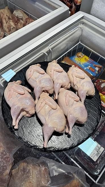 мясо перепелов: Перепела, Перепелка потрошёные, охлаждённые/замороженные (тушки целые) — 2