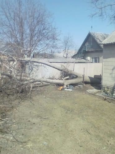 слом дома и вывоз мусора цена: Спилить дерево! Нет проблем. Очистить от разросшихся кустарников и — 5