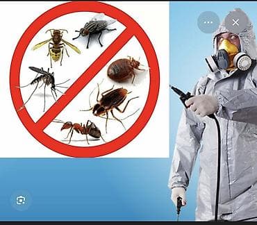 Клининг кызматтары: Профессиональная дезинсекция помещений Услуга комплексной обработки — 2