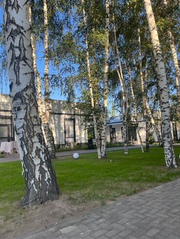 горячие источники иссык куль чолпон ата: Коттедж, котедж ЦО Атлантис, Сары-Ой, Детская площадка, Закрытый пляж, Охраняемая территория — 4