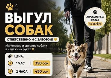 усыпление собаки цена: 🐶 ВЫГУЛ СОБАК — ОТВЕТСТВЕННО И С ЗАБОТОЙ! 🐾 Предлагаю услуги по — 1