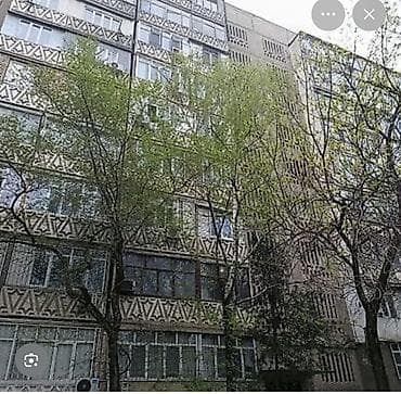 квартира 8000: 1 комната — 1