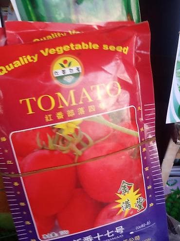 Продается семена Китай новичок помидор — 2