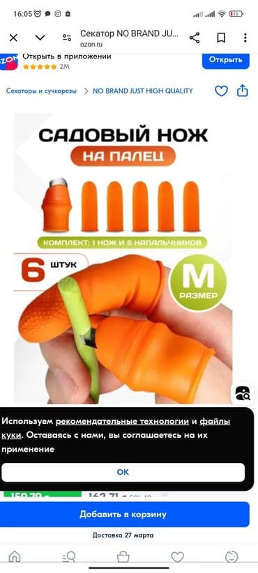 опрыскиватель садовый бишкек: Другие садовые инструменты и инвентарь, Самовывоз — 1