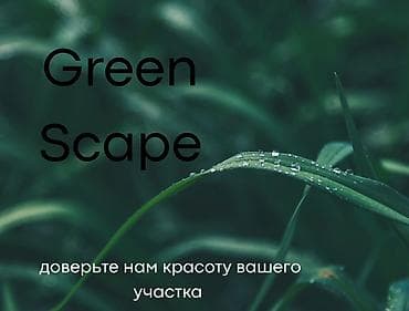 Компания Green Scape предлагает широкий спектр услуг по