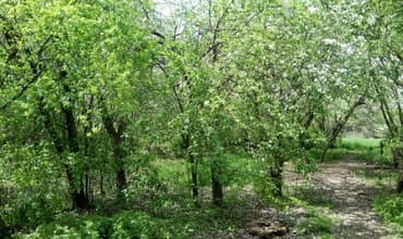 купит дом кара балта: Үй, 50 кв. м, 3 бөлмө, Менчик ээси — 2