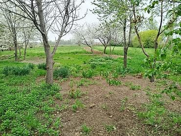 жаны уйлор: Продается дом 4 комнаты в городе Кант с.Гагарина дом очень хорошо — 5