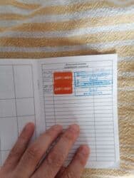 Кошка даром: Беспородная, 11 месяцев, Девочка, С документами, С прививками, Приучена к лотку at lalafo.kg Кошка даром: Беспородная, 11 месяцев, Девочка, С документами, С прививками, Приучена к лотку