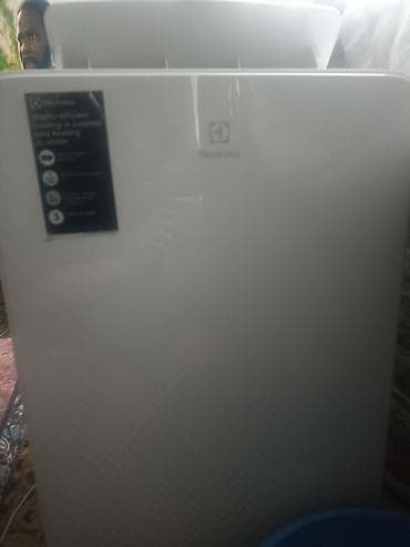 lp e6: Мобильный кондиционер Electrolux - Производитель: Electrolux - Тип — 2