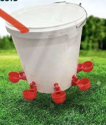 scottish fold: Кормушка бункерная 1,5 кг 3кг 6 кг 8 кг 10 кг Поилка бункерная 1 л — 10