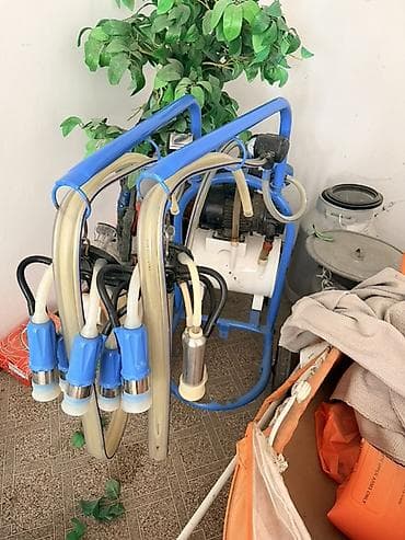 Айыл-чарба жаныбарлары: Доильный аппарат на тележке для коров/коз - Мобильная установка на — 5