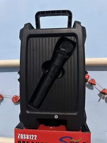 Аудиотехника: Портативная акустическая система Sing-e ZQS8122 - Диффузор 8" - — 3
