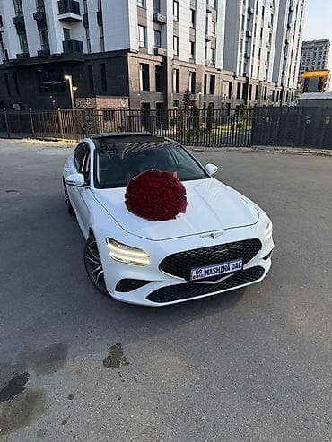 tur: Hyundai Genesis: 2022 г., 2 л, Автомат, Бензин, Седан — 10