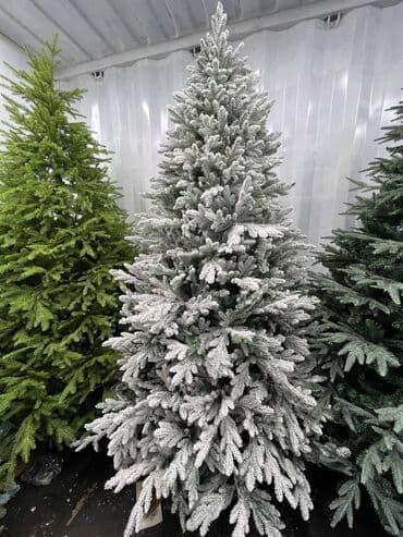 купить живую елку в бишкеке: Елка размеры Усиленные шарниры Качественный метал Повторное — 1