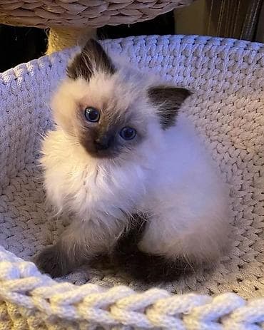 Не беспокойтесь