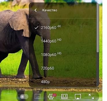 ssd gb: Ноутбук, Apple, 8 ГБ ОЗУ, Intel Core i5, 13.3 ", Б/у, Для работы, учебы, память SSD — 7