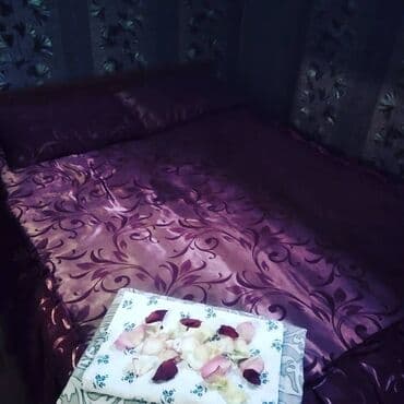 суточные квартиры в канте: 1 комната, Бытовая техника — 3