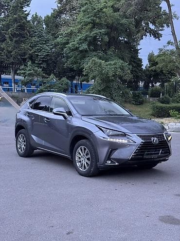 nx: Lexus NX: 2018 г., 2 л, Автомат, Бензин, Кроссовер — 2