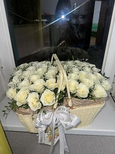 Үй жана бакча: Почти что бесплатно — 1