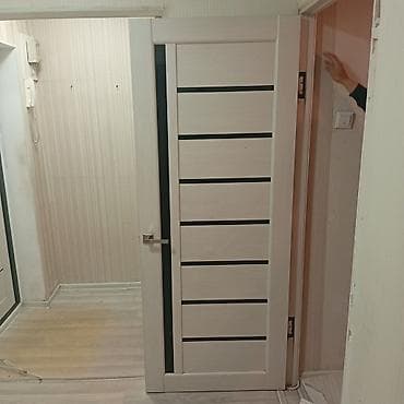 Межкомнатная дверь, распашная, с современным горизонтальным раскладом