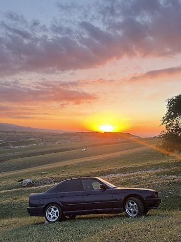 бив е34: BMW 5 series: 1995 г., 3.1 л, Механика, Бензин, Седан — 8