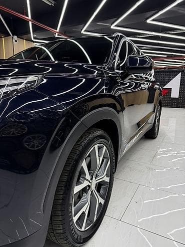 windom 3 0: Hyundai Palisade: 2019 г., 2.2 л, Дизель, Кроссовер — 8