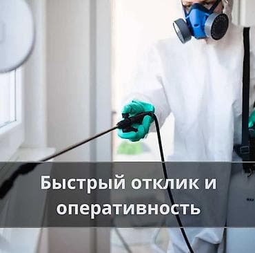подъезд: Профессиональная дезинсекция помещений - Уничтожение домашних — 6