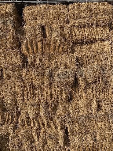 Соломенные тюки (прямоугольные). Плотно спрессованные, связаны at lalafo.kg Соломенные тюки (прямоугольные). Плотно спрессованные, связаны