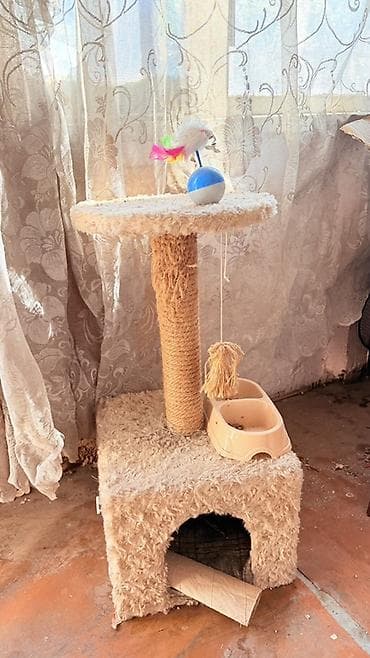Игровой комплекс для кошек с домиком - Компактный многофункциональный lalafo.kg да Игровой комплекс для кошек с домиком - Компактный многофункциональный