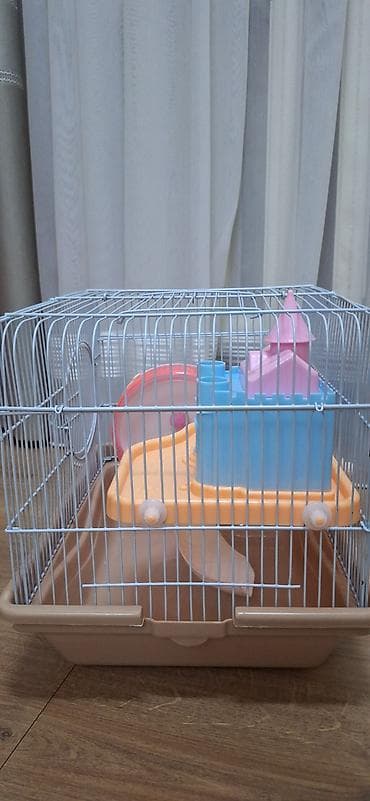 Кемирүүчүлөр: Клетка для хомяка/крысы б/у 36x27 — 3