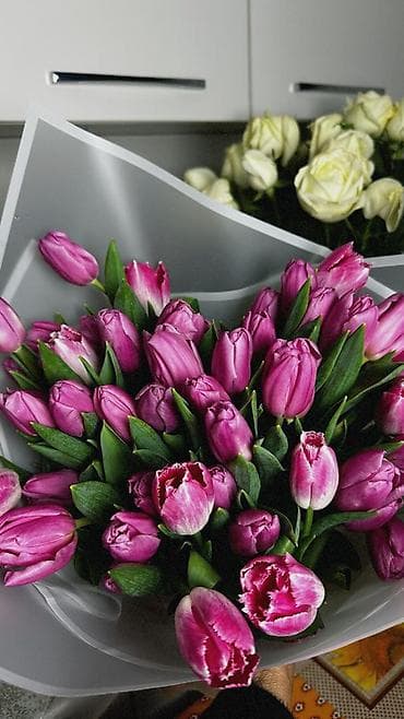 оптом клубника: Рассада цветка: Тюльпаны, Самовывоз — 3