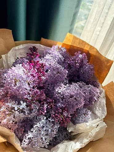Сиреневые букеты в крафте ЗА ДЕШЕВУЮ ЦЕНУ 300 1000 - Пышные
