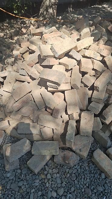продаю кур: Полнотелый, таблетка, Жженый кирпич, Евро, 250×60×65 — 2