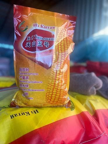 гмо: Сапаттуу жугору уруктар 🌽🌽🌽келишим баада тазалыгына жана чыгышына — 7
