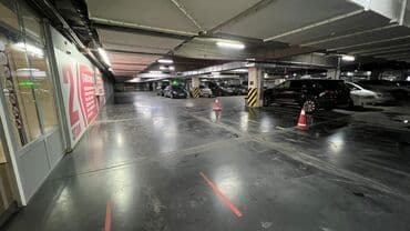 Больше 6 лет опыта