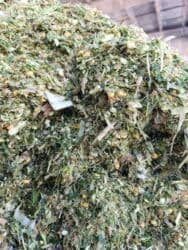 продажа щенков немецкой овчарки с документами в бишкеке: СИЛОС ВЫСШЕГО КАЧЕСТВА 9 СОМ КГ
















. — 3