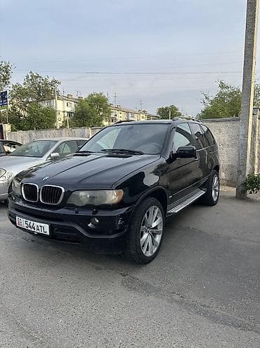 BMW X5: 2003 г., 3 л, Типтроник, Бензин, Внедорожник