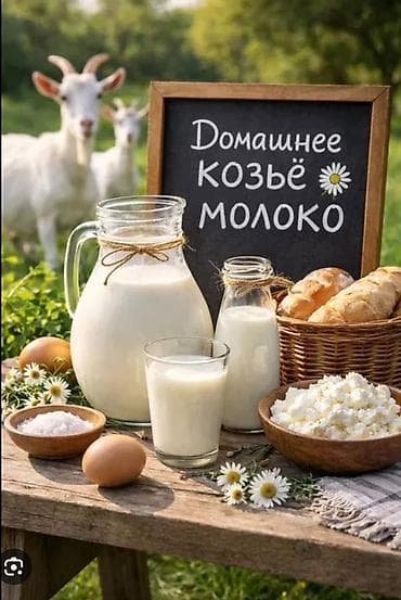 Домашнее козье молоко - Натуральное, свежевыдоенное козье молоко с