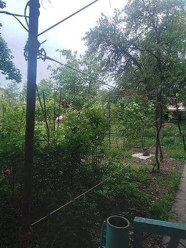 село садовое: Дом с большим двором и хозяйственными постройками - Жилой одноэтажный — 6