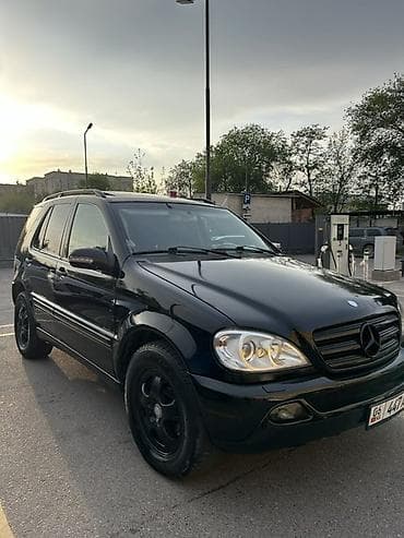 sprinter cdi: Mercedes-Benz ML-Class: 2002 г., Автомат, Кроссовер — 2