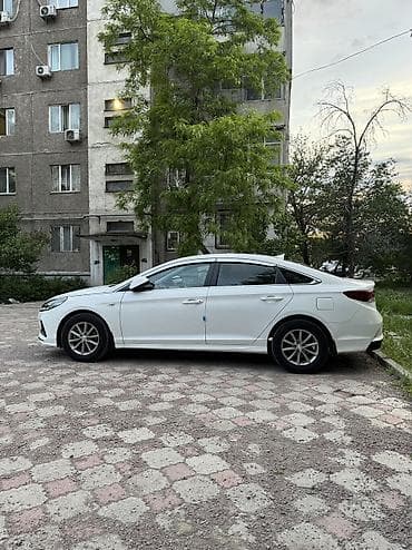 соната дтп: Hyundai Sonata: 2020 г., 2 л, Автомат, Газ, Седан — 2