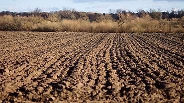 прод дом: 700 соток — 3