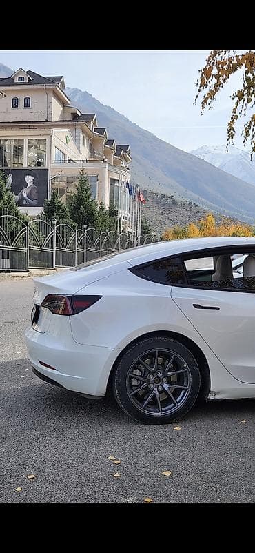 лупа фара: Tesla Model 3: 2023 г., 0.1 л, Автомат, Электромобиль, Лифтбек — 3