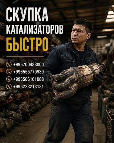 premium development: Скупка катализаторов — быстро. Принимаем автомобильные каталитические — 1