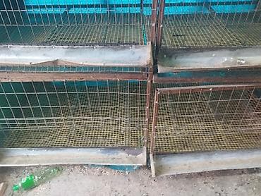 клетка для перепел: Трëхярусная клетка для содержания перепёлок/цыплят - Конструкция — 8